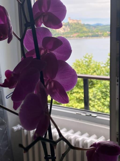 Babalu Con Vista Lago Arona Exterior photo